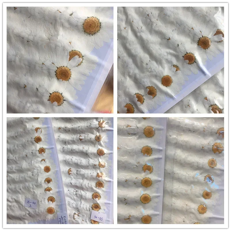 60 Adet Preslenmiş Kurutulmuş  - Dried Flower Bookmark incelemesi ve fiyatı