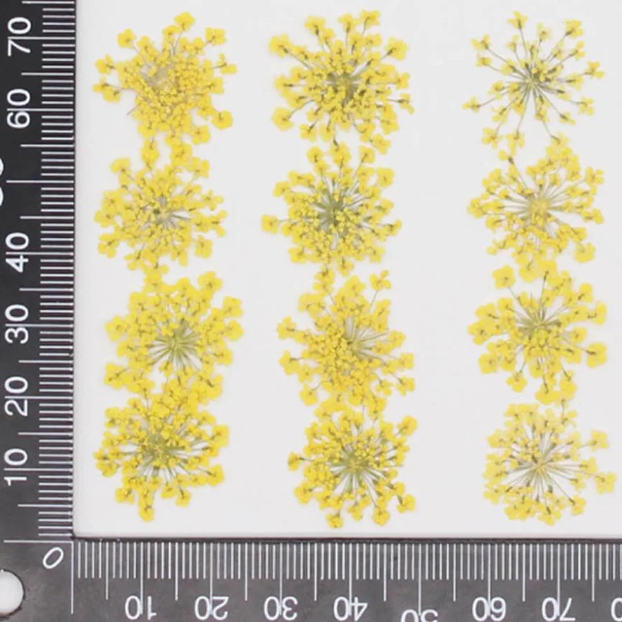 60 adet Preslenmiş Kurutulmuş  - Dried Flower Bookmark incelemesi ve fiyatı