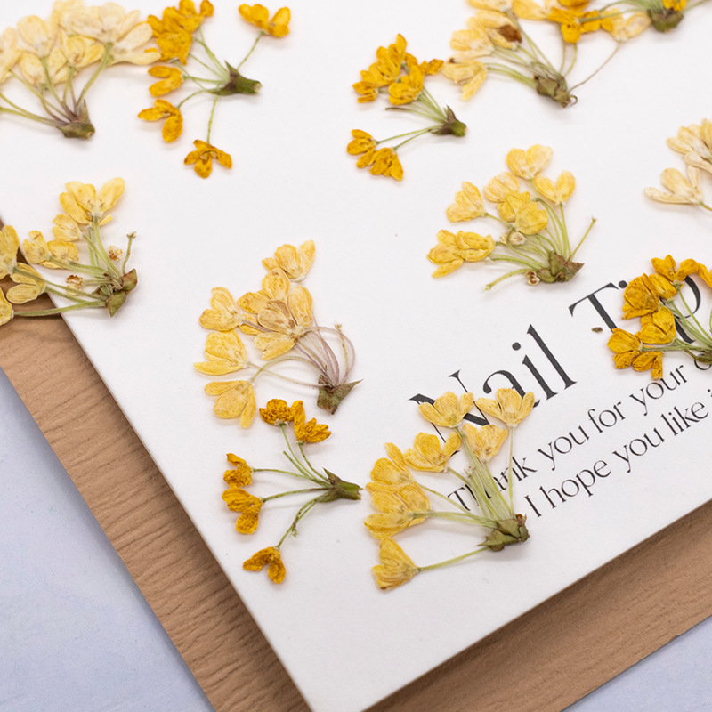 24 adet, Doğal Gerçek Preslenm - Dried Flower Bookmark incelemesi ve fiyatı