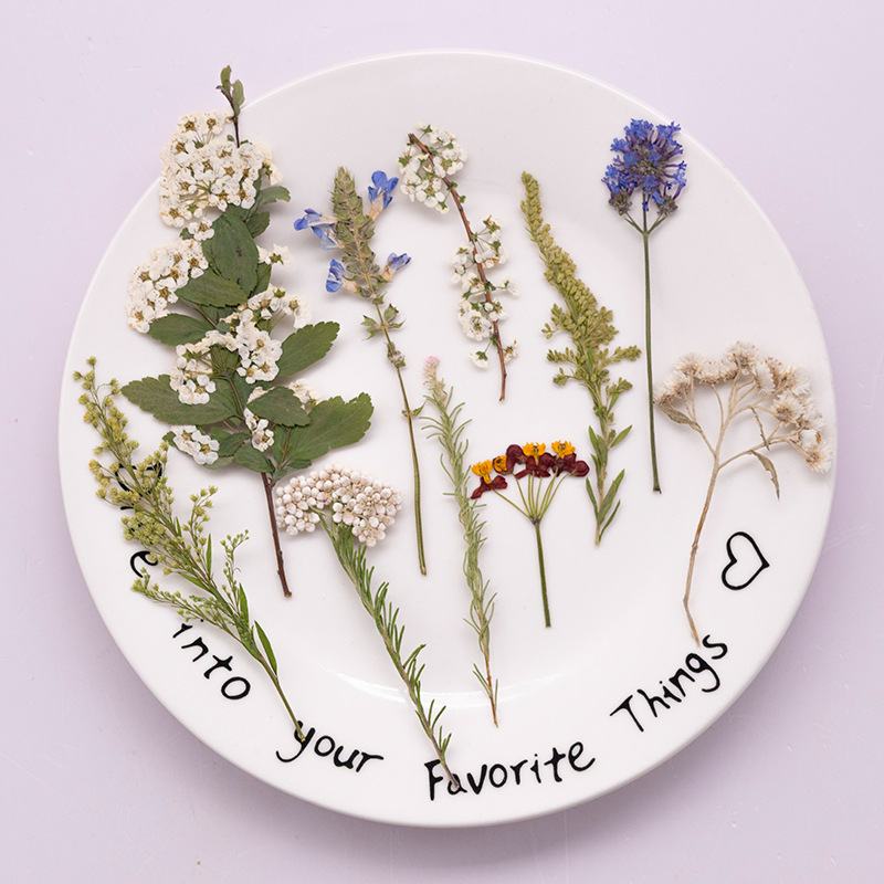 500 Adet Büyük Paket Fern Pres - Dried Flower Bookmark incelemesi ve fiyatı