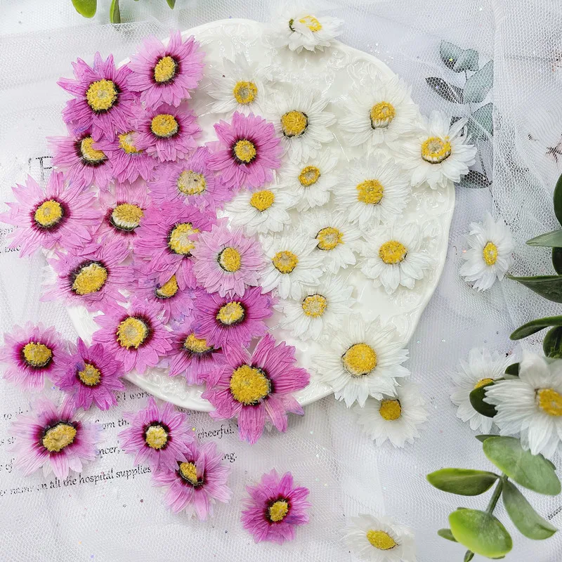 24 adet/2-4CM, doğal preslenmi - Dried Flower Bookmark incelemesi ve fiyatı